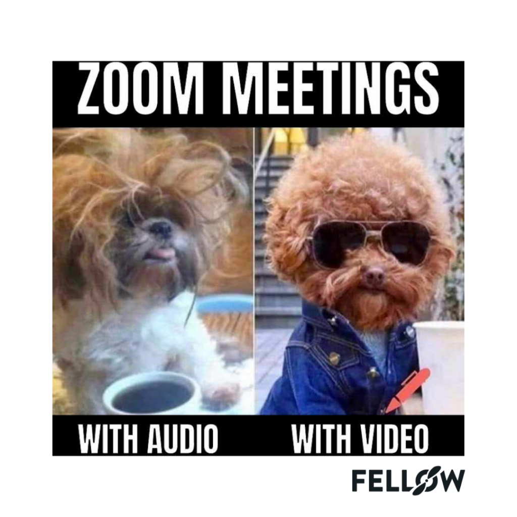 hairy pups meeting agenda meme