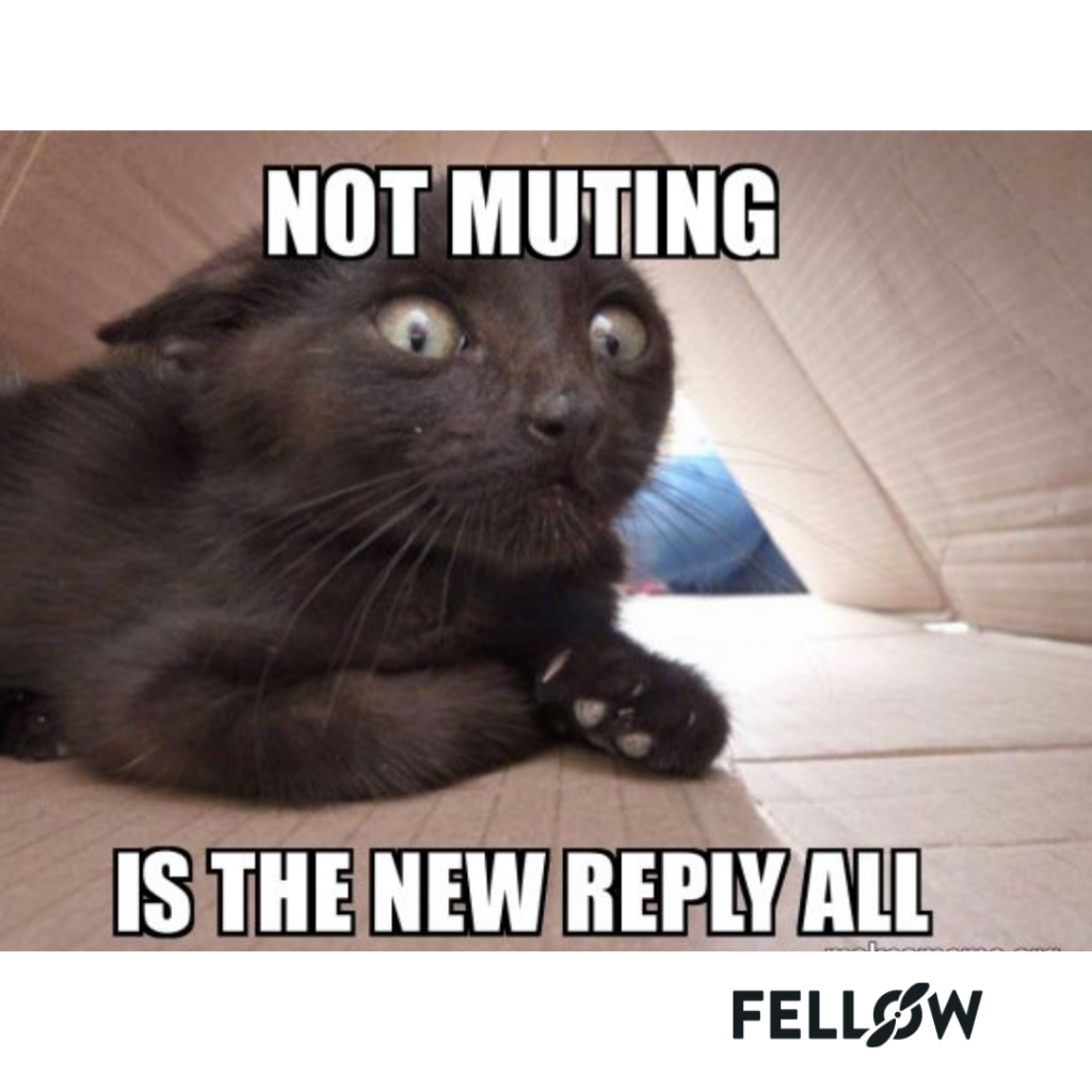 black cat meeting agenda meme