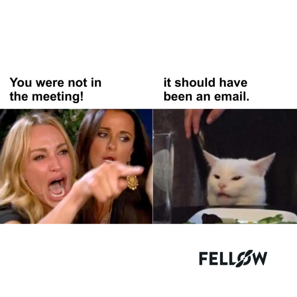 arguing cat meeting agenda meme