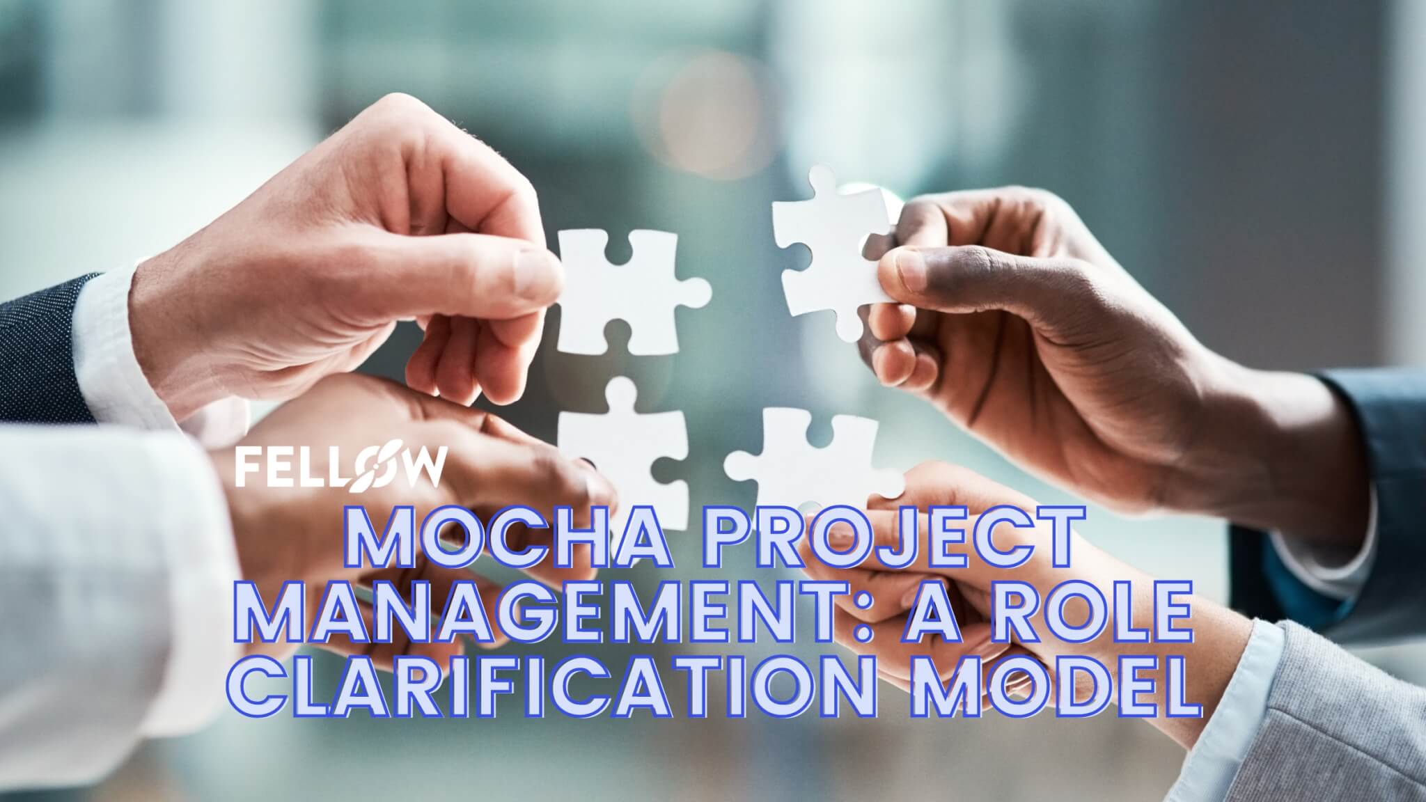 MOCHA Project Management A Role Clarification Model